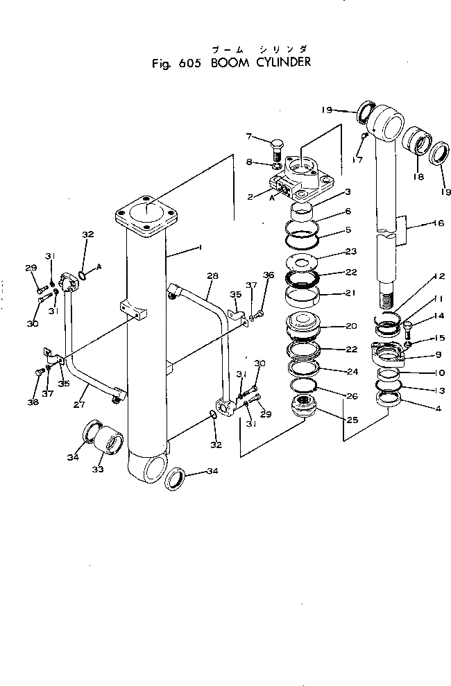 10-ht-1r